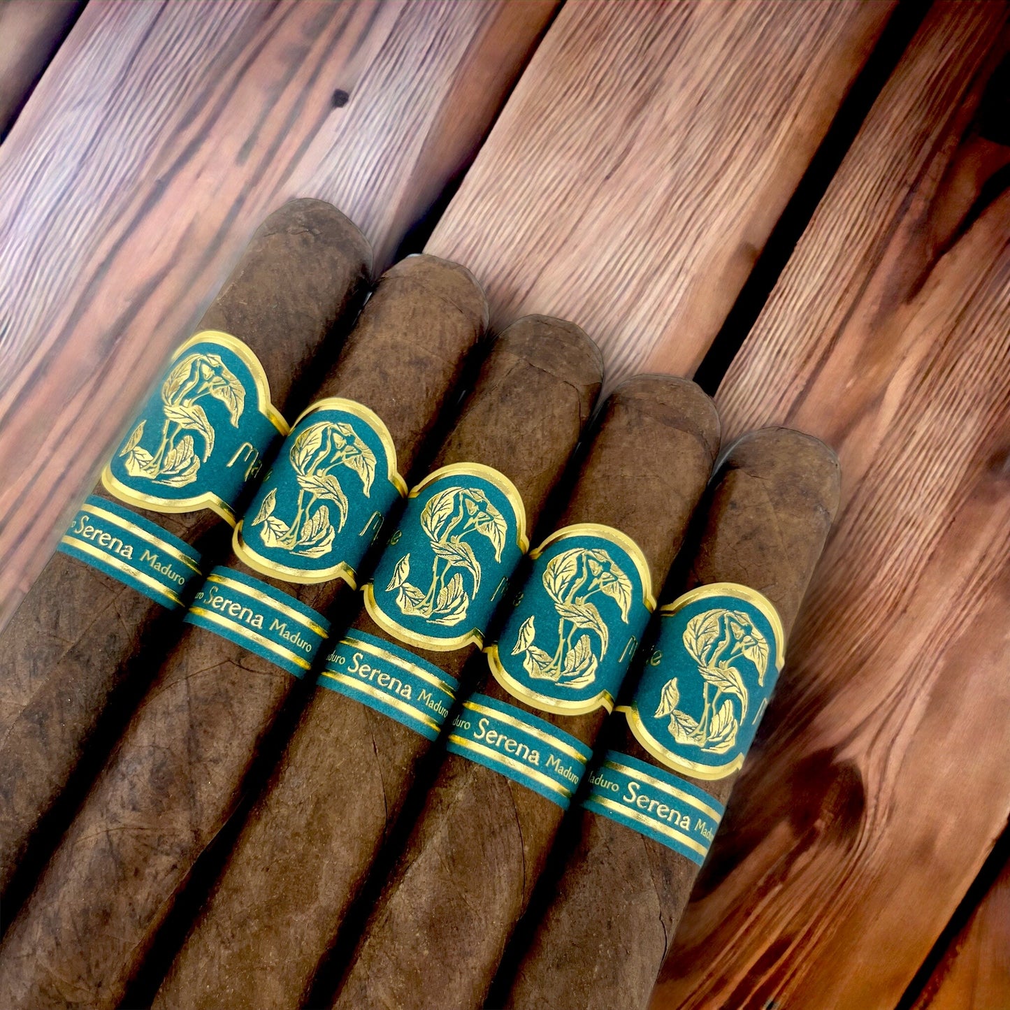 Metilde Serena Maduro Toro Bravo