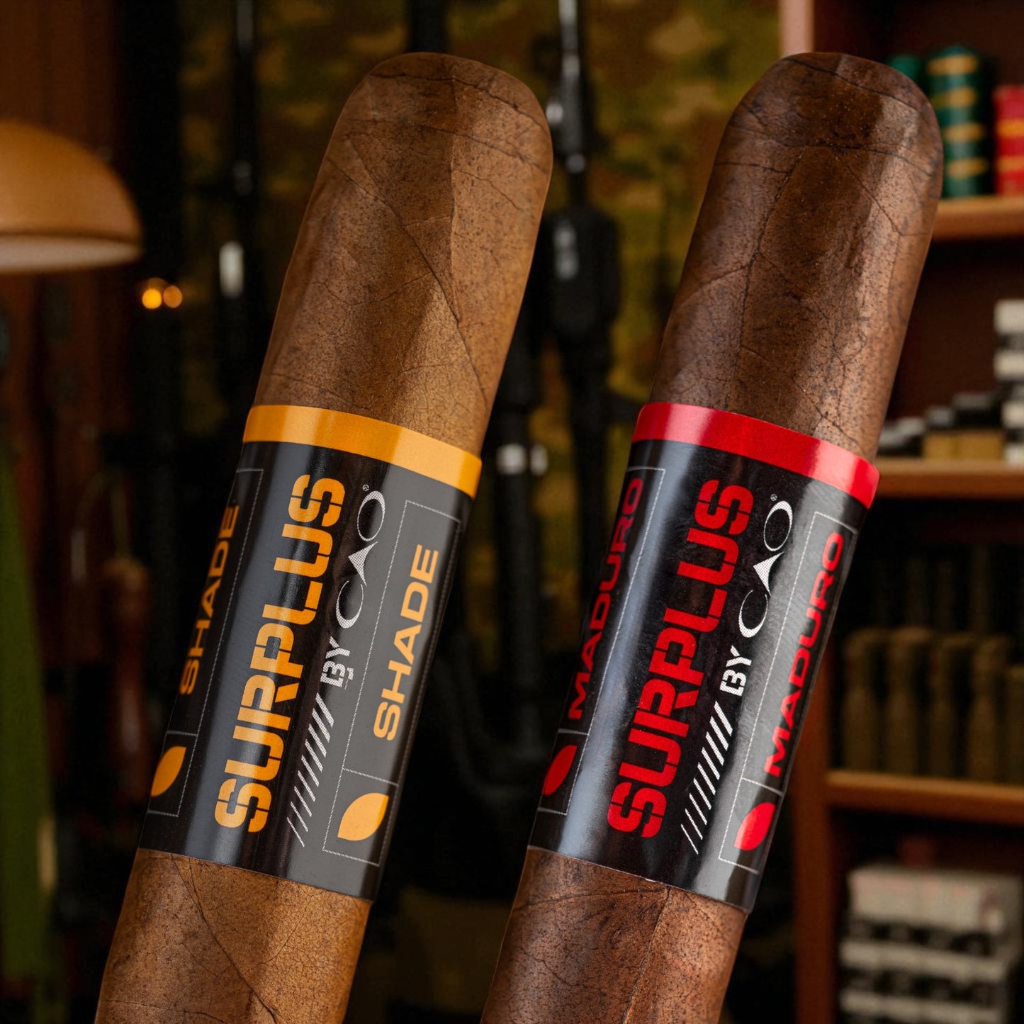 CAO SURPLUS Maduro/Shade