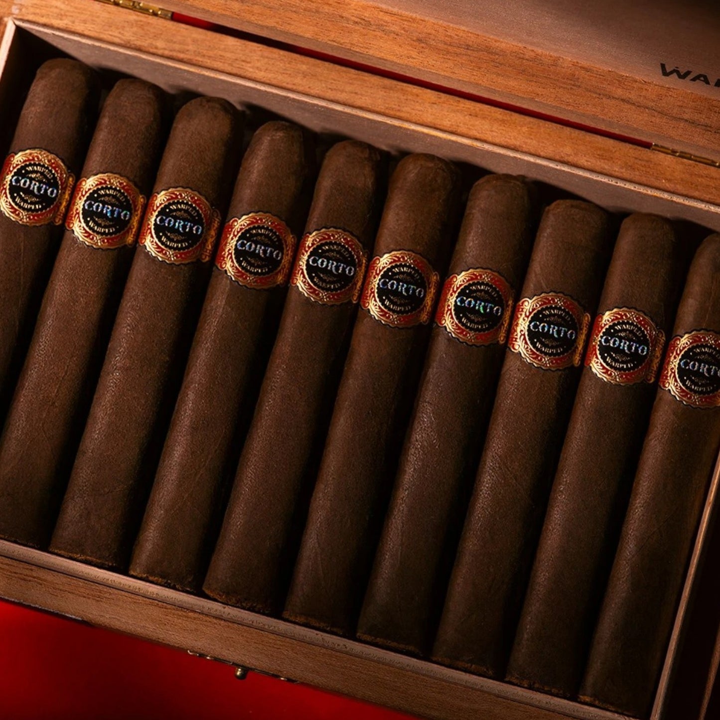 Warped Corto X46 Maduro