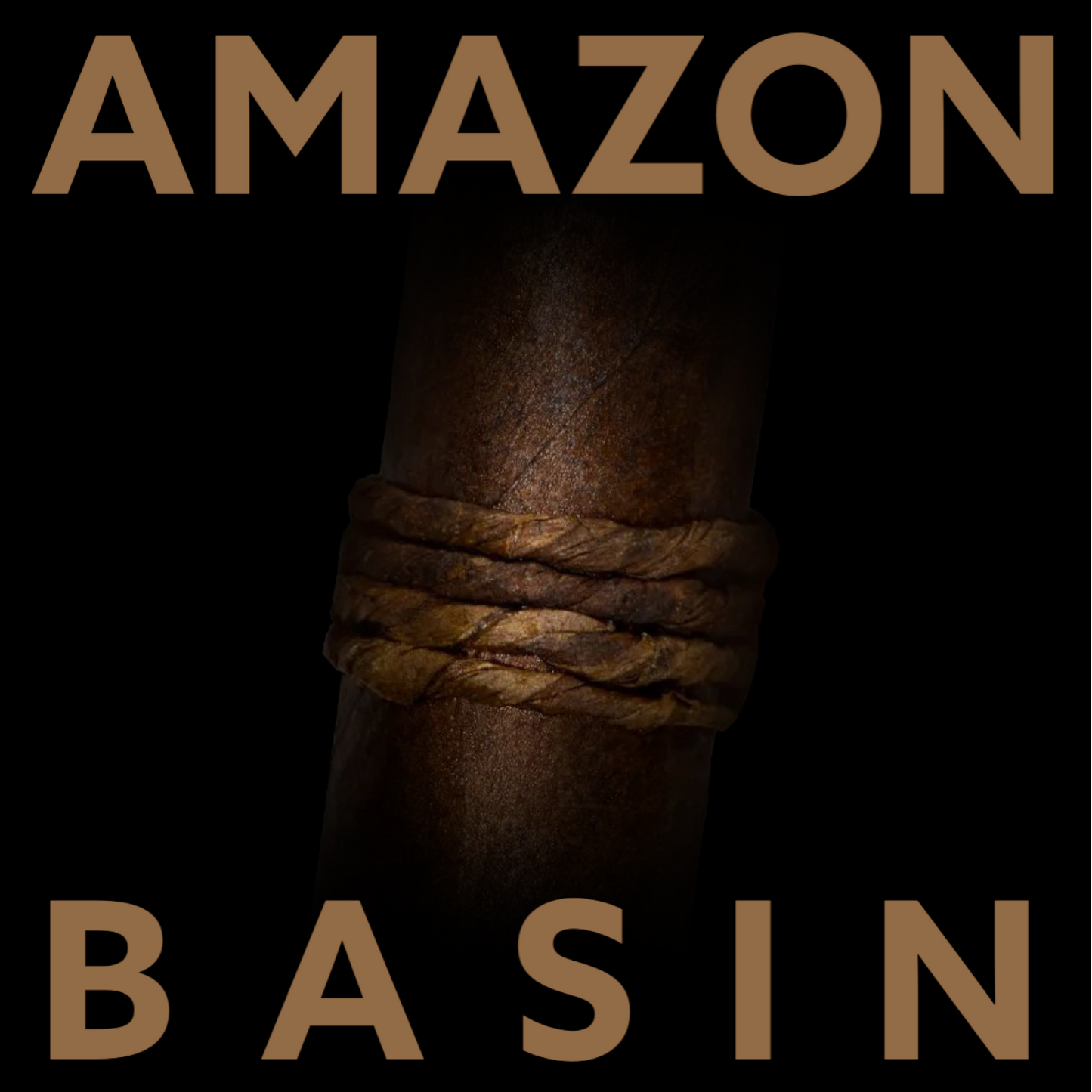 CAO AMAZON BASIN