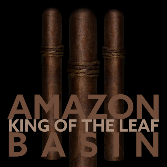 CAO AMAZON BASIN