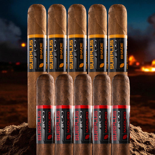 CAO SURPLUS Maduro/Shade