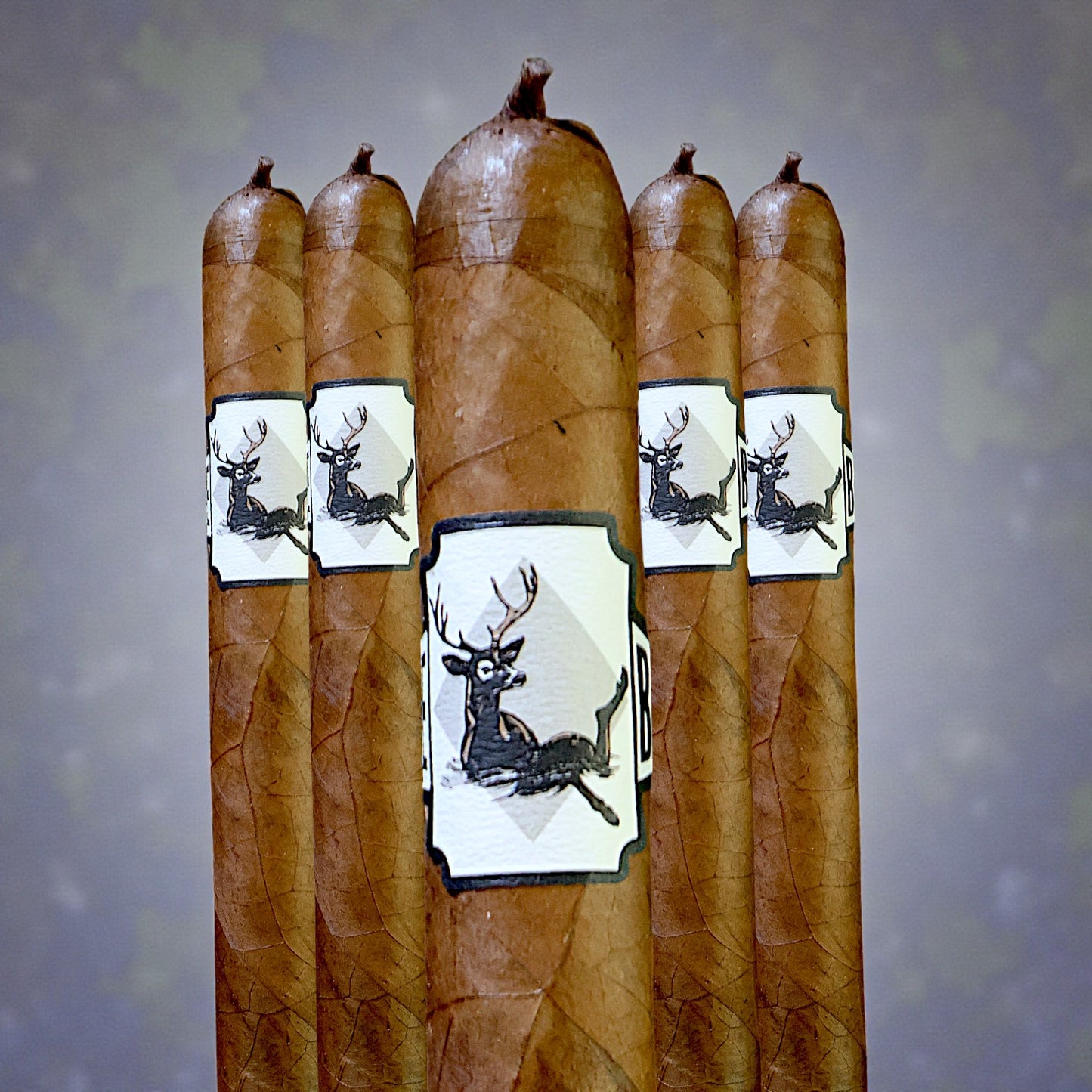 Lost & Found BACKSTROKE BAMBI