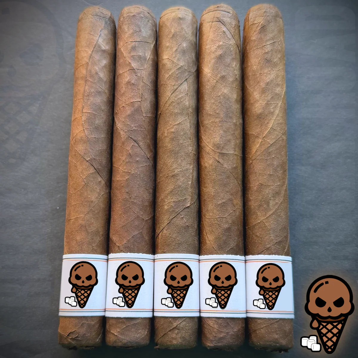 Ezra Zion Melted Rocky Road Ice Cream D.E.