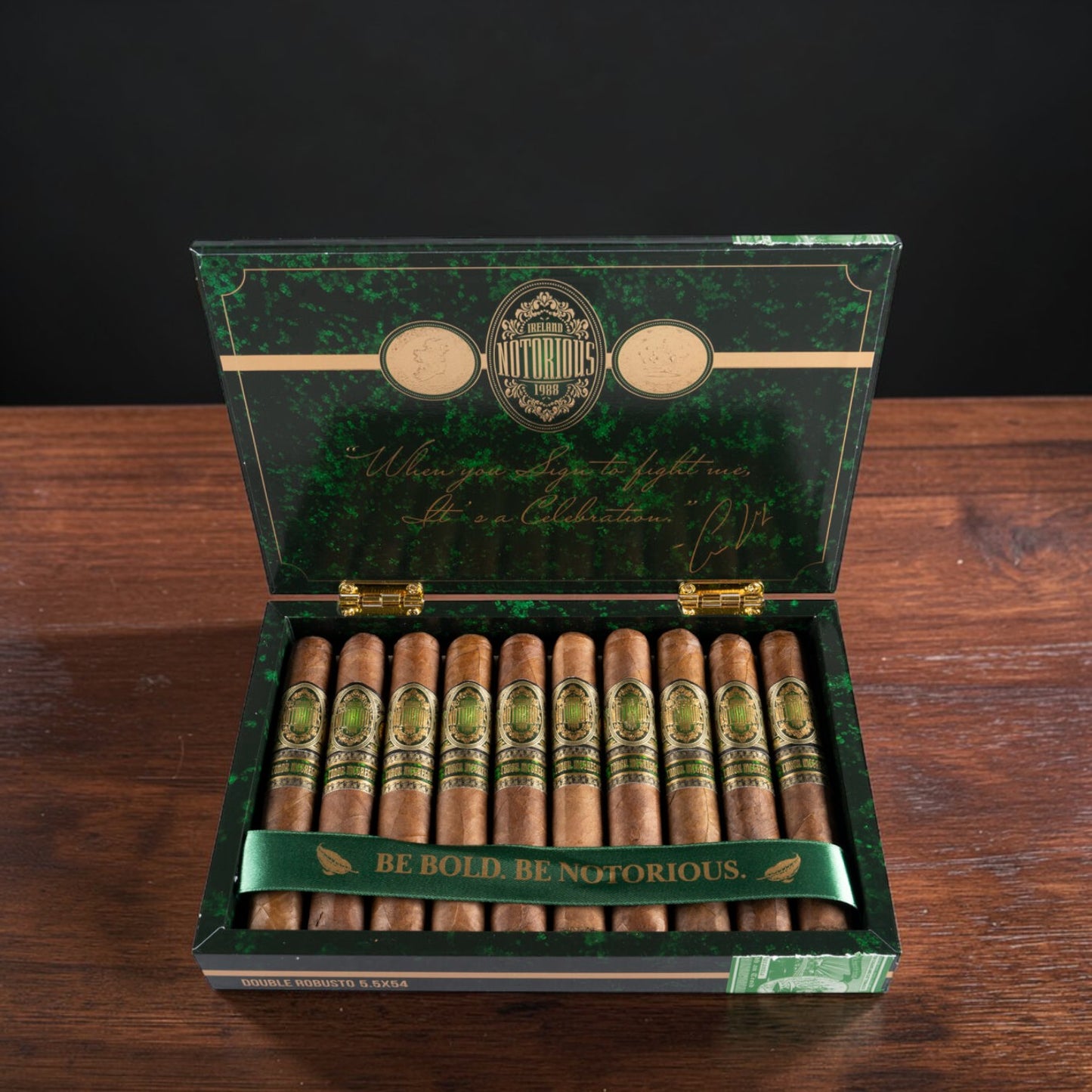 Notorious by Conor McGregor