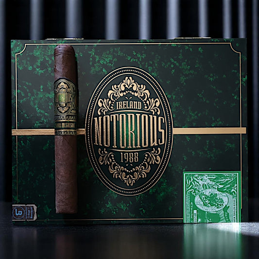 Notorious by Conor McGregor