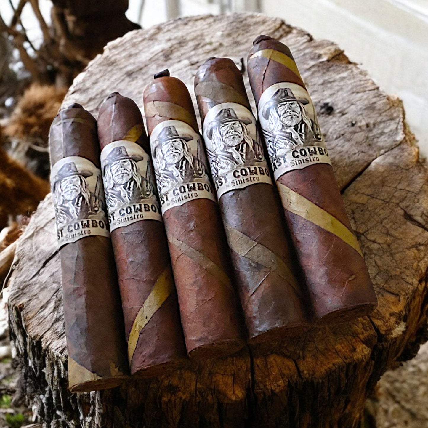 The Last Cowboy Maduro BARBERPOLE LE