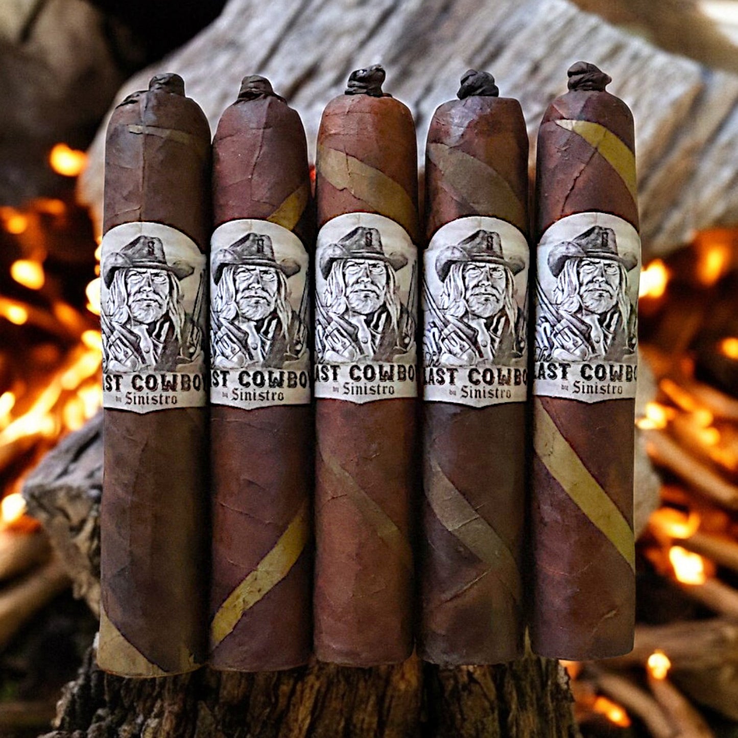 The Last Cowboy Maduro BARBERPOLE LE