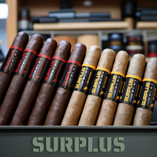CAO SURPLUS Maduro/Shade