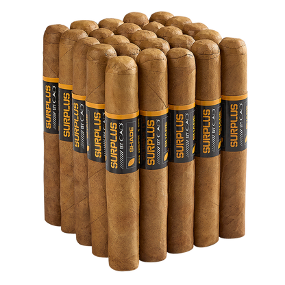 CAO SURPLUS Maduro/Shade
